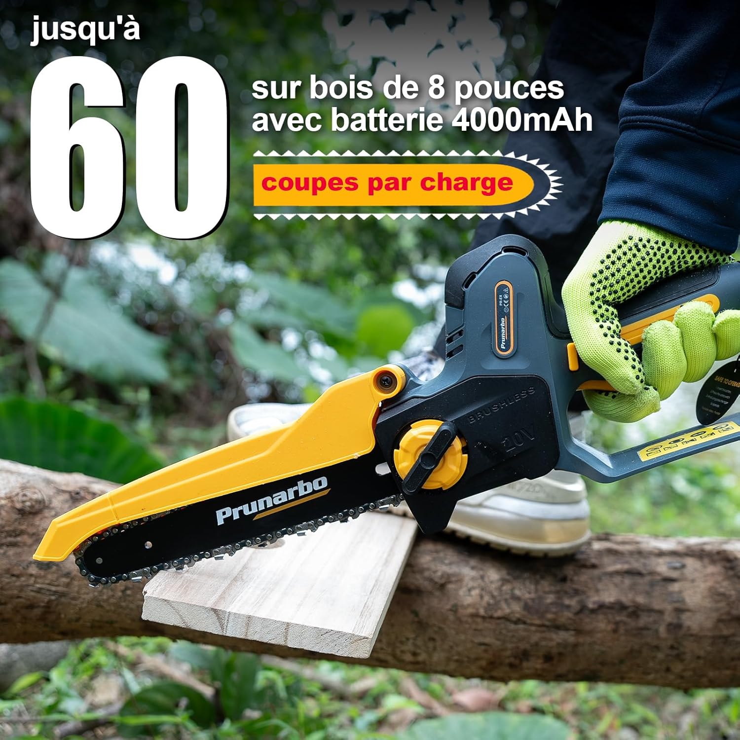 Mini tronçonneuse sur batterie 8 pouces, 800W, 2x4.0Ah, Brushless PR-E8