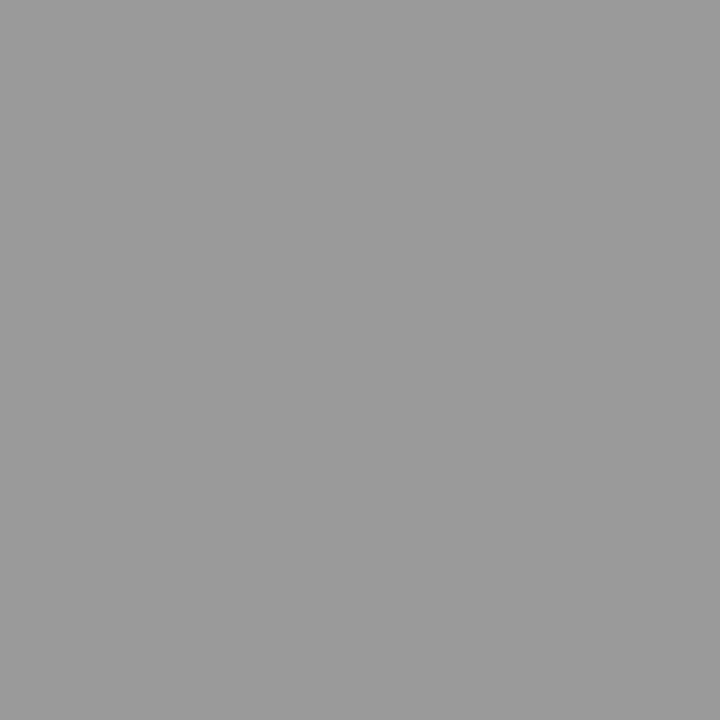 jardinito Abri de Jardin avec Toit prolongé Gris Clair 277x107x181 cm, Maison & Jardin, Pelouses & Jardins, Vie en extérieur, Structures extérieures, Cabanes & abris de Jardin, Gris, (Poids 41.56KG)