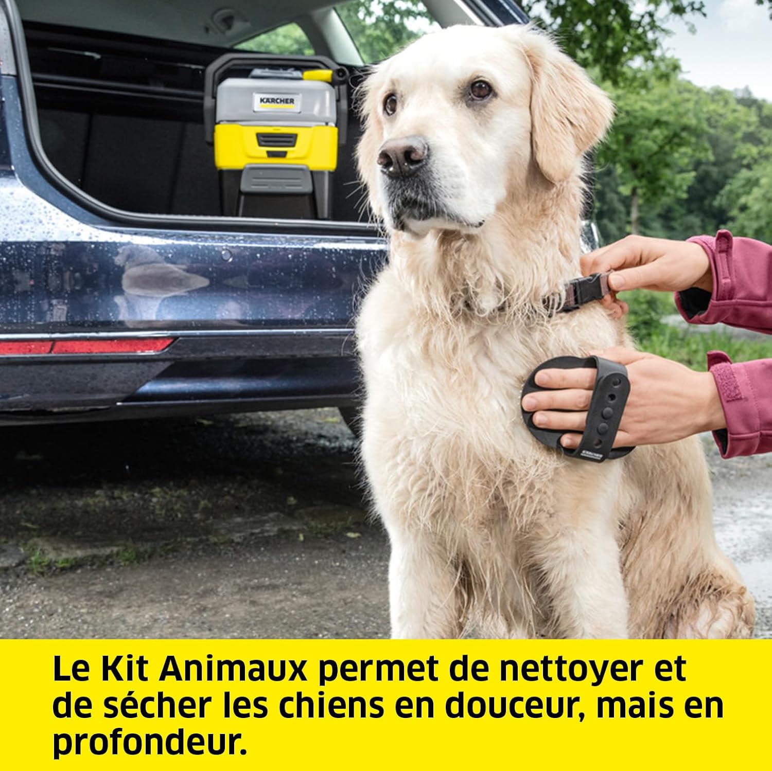 jardinito Nettoyeur à Pression Mobile OC 3 + Kit Animaux, Débit : 2 L/h, Réservoir : 4L, Tuyau : 2,8 m, Buse à Jet Plat, Buse Conique, Brosse Pet, Serviette pour Animaux Domestiques, Boîte de Rangement