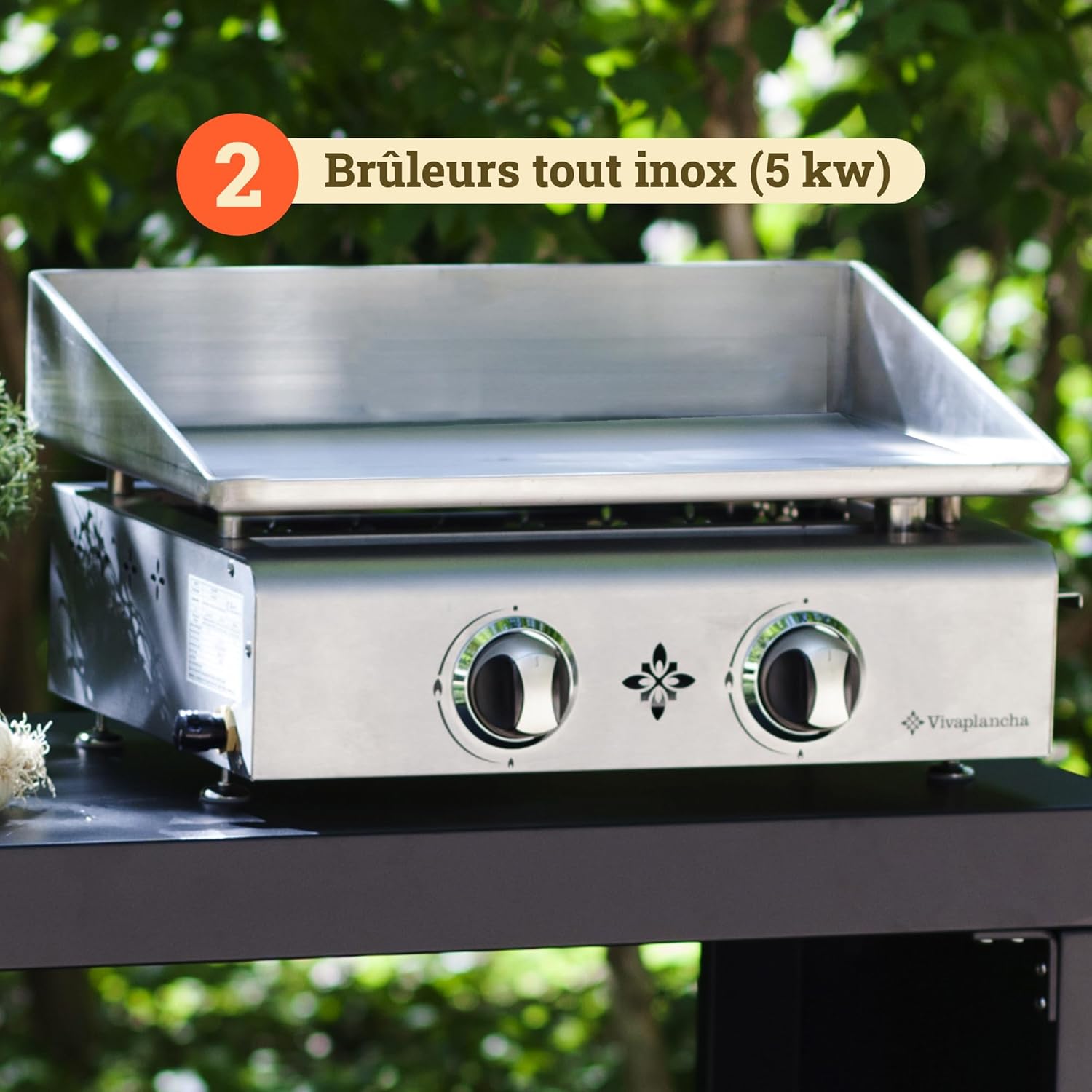 Plancha gaz inox - plaque 6 mm - cuisson semi-pro + accessoires