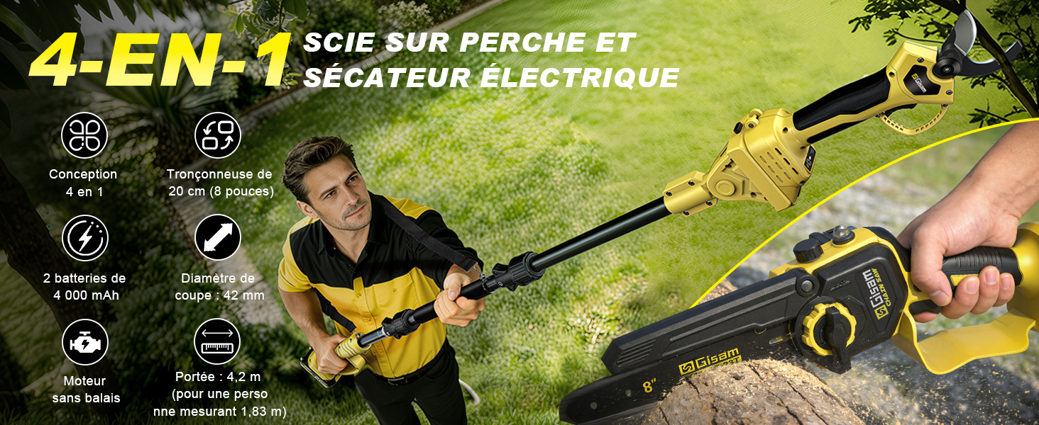 Le texte se lit comme suit : « SCIE SUR PERCHE ET SÉCATEUR ÉLECTRIQUE 4-EN-1 ». Scie à perche électrique et sécateur illustrés en cours d'utilisation sur des branches de jardin avec des icônes de spécifications.