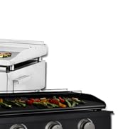 grill2