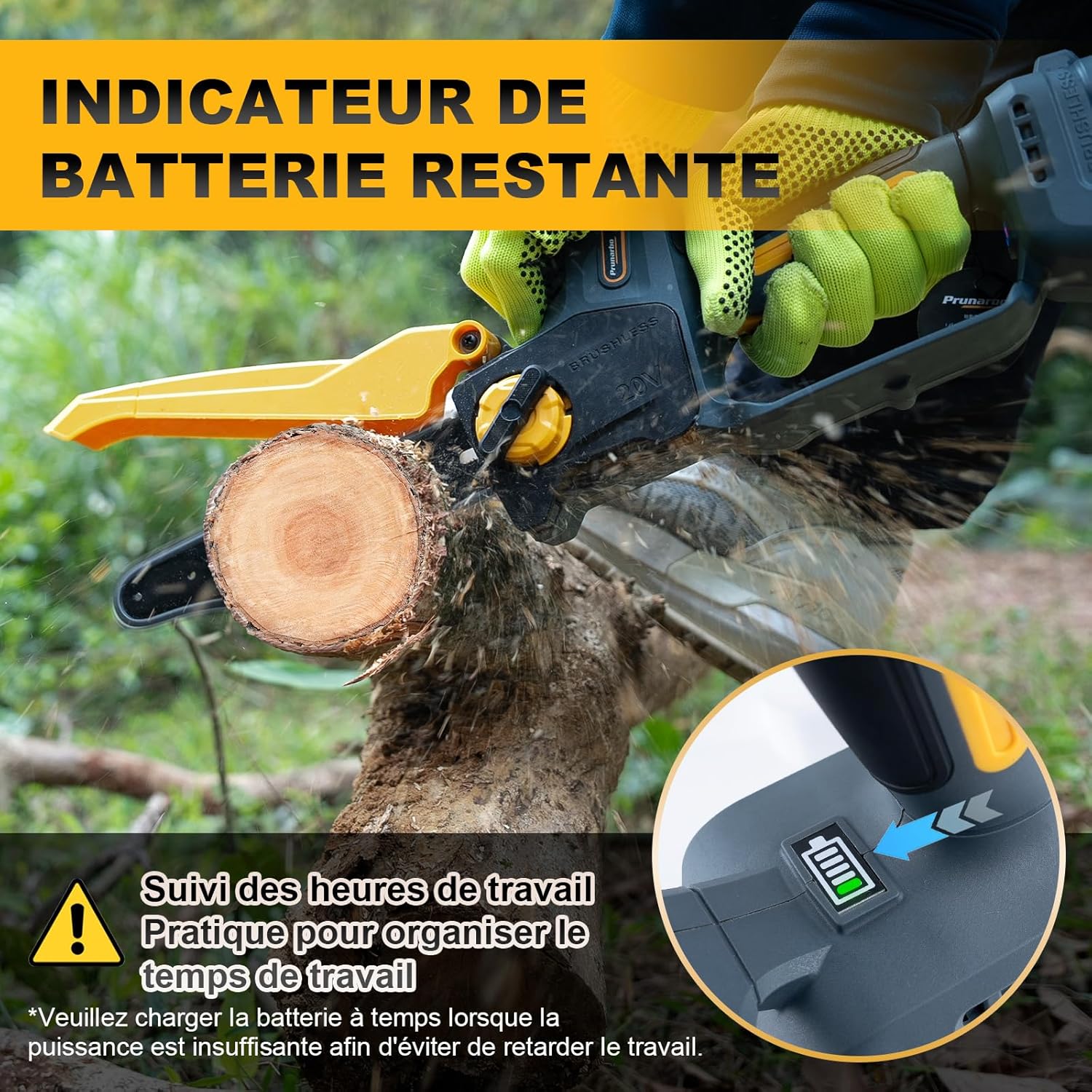 Mini tronçonneuse sur batterie 8 pouces, 800W, 2x4.0Ah, Brushless PR-E8