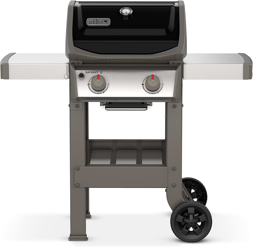 jardinito - Spirit II E-210 - 51x46 cm - Barbecue gaz 2 brûleurs, grilles GBS, GS4, tablettes noir/argent