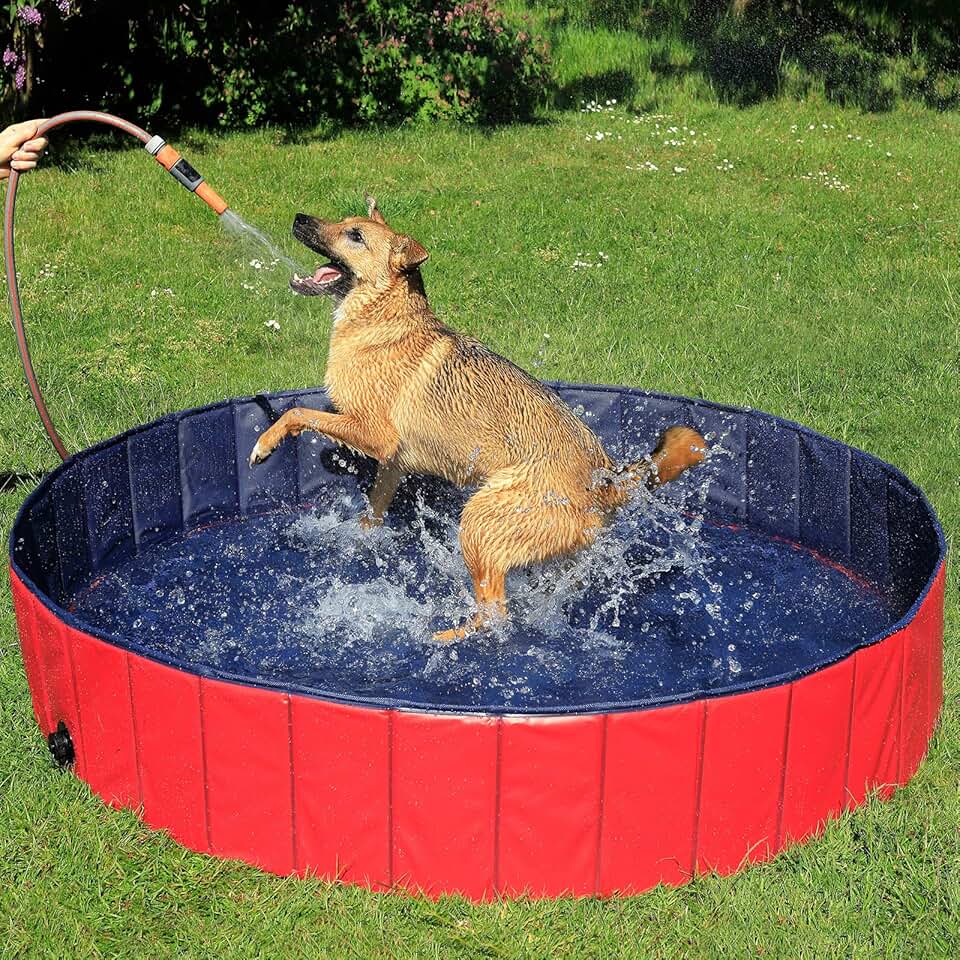 jardinito - Piscine pliable Ø160x30cm - PVC antidérapant, bouchon vidange