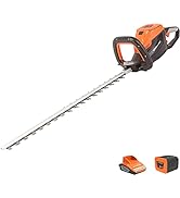 jardinito - Taille-Haies sans fil 40V avec Lame 60cm, Batterie au Lithium et chargeur - LH G60