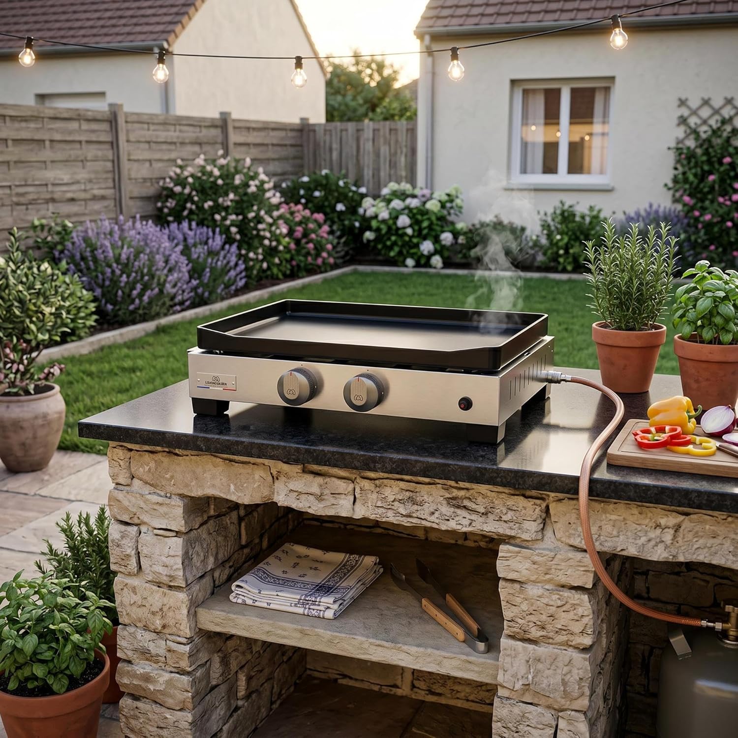 jardinito - Plancha La Petite Francaise - gaz - 250