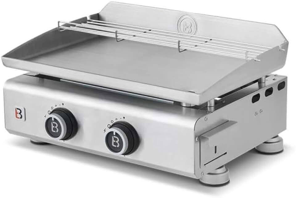Favex - jardinito plancha gaz inox 2 feux 52x34cm 5,3kW Stable Flame