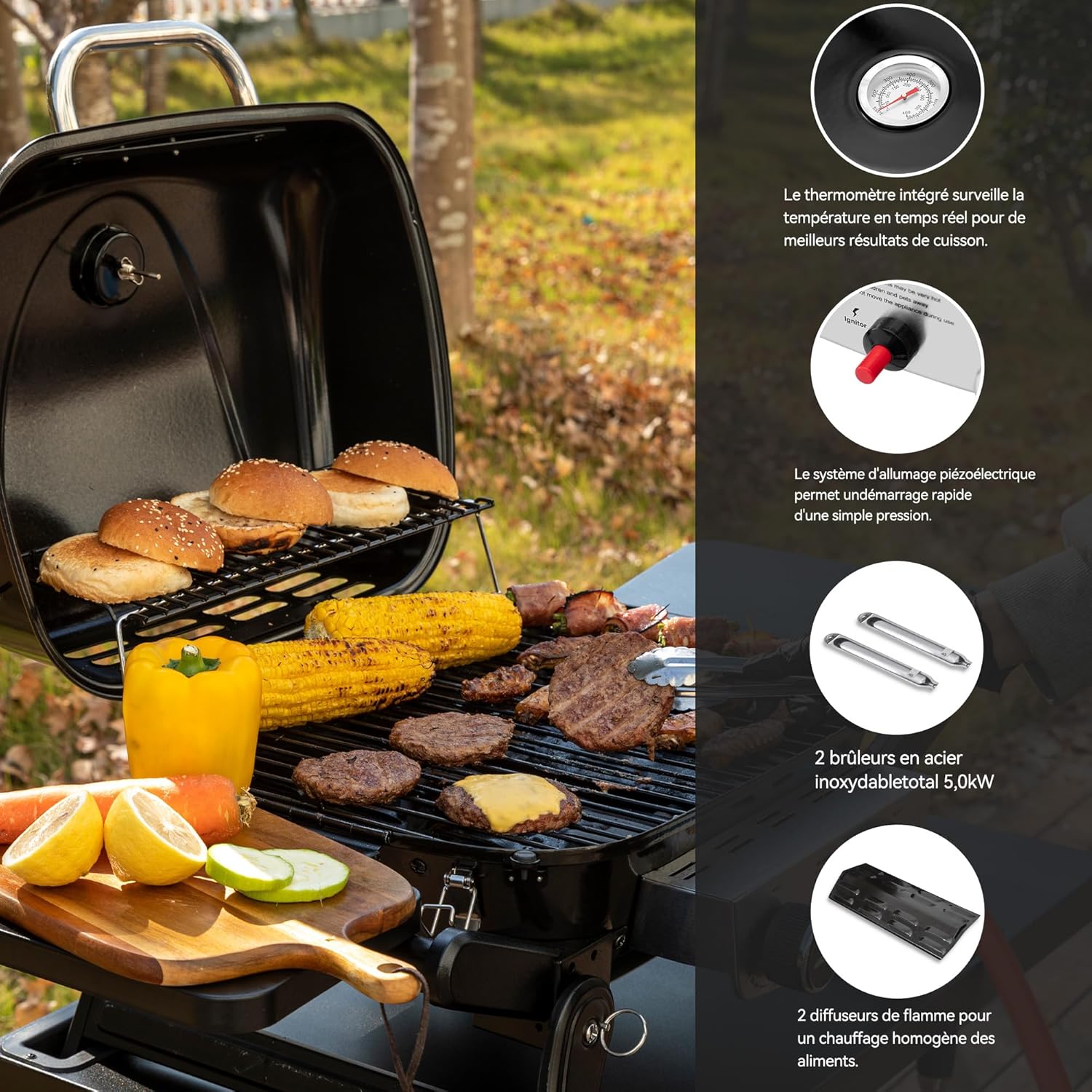 jardinito - Barbecue Gaz 2 brûleurs - 48x37 cm - tables pliables, 5kW
